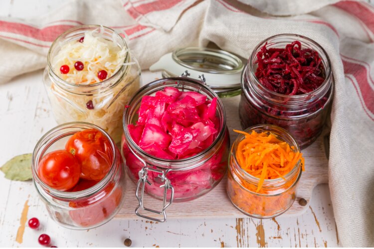Fermentace potravin